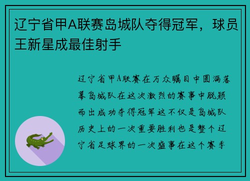 辽宁省甲A联赛岛城队夺得冠军，球员王新星成最佳射手